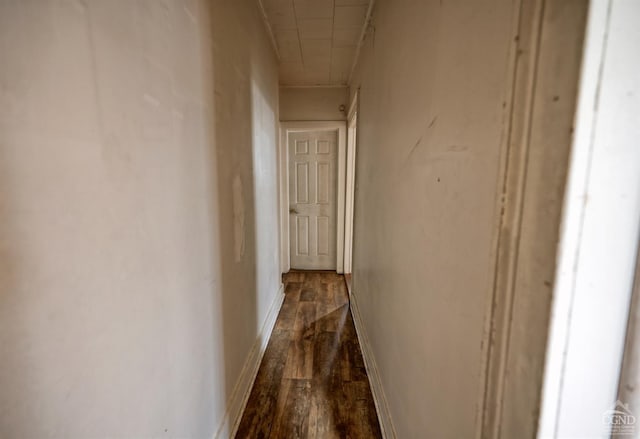 hall featuring wood-type flooring