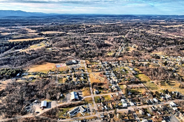 birds eye view of property with a mountain view