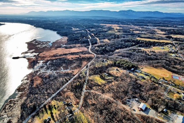 bird's eye view featuring a mountain view