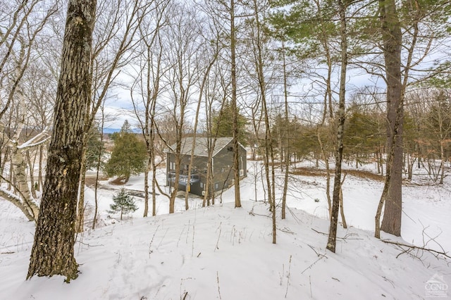 view of yard covered in snow