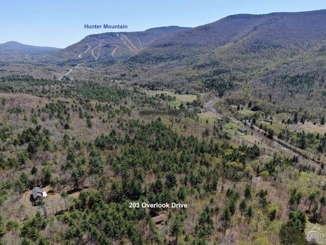 property view of mountains featuring a view of trees