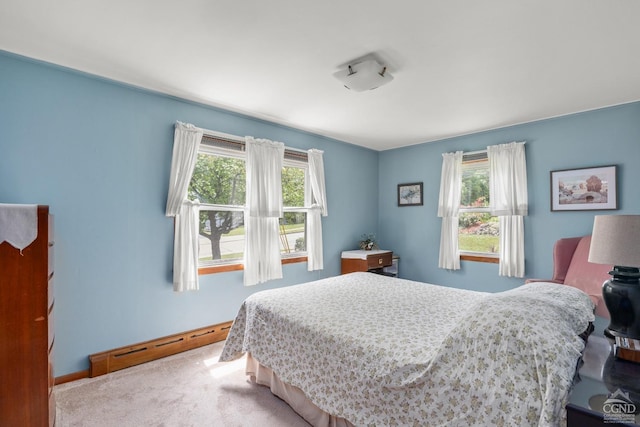 bedroom featuring carpet