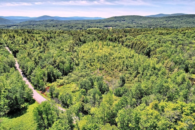 383 Begley Rd, Windham NY, 12496 land for sale