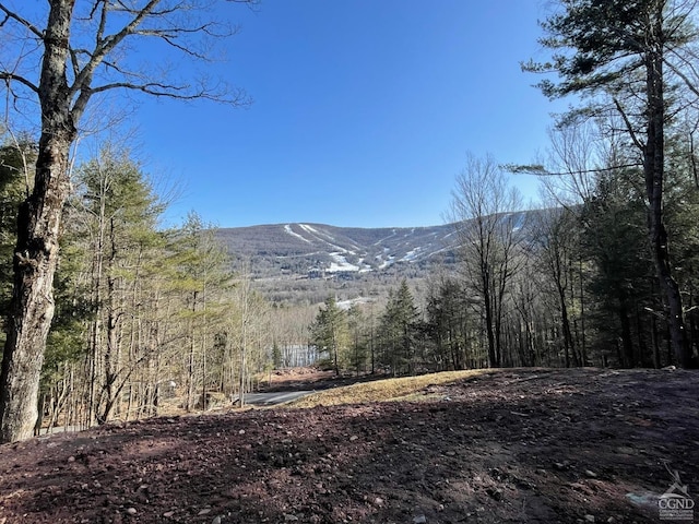 0 Hickory Hl, Windham NY, 12496 land for sale