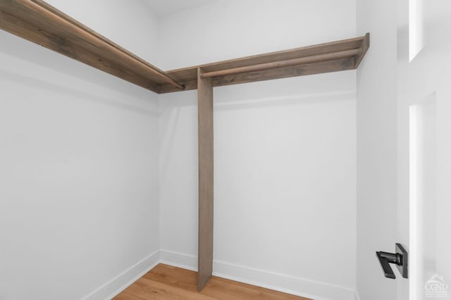 walk in closet with hardwood / wood-style flooring