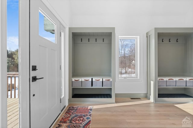 mudroom with light hardwood / wood-style floors and a wealth of natural light