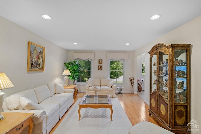 living room featuring light wood-type flooring