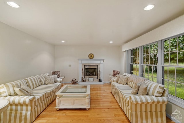 living room featuring a fireplace and light hardwood / wood-style floors