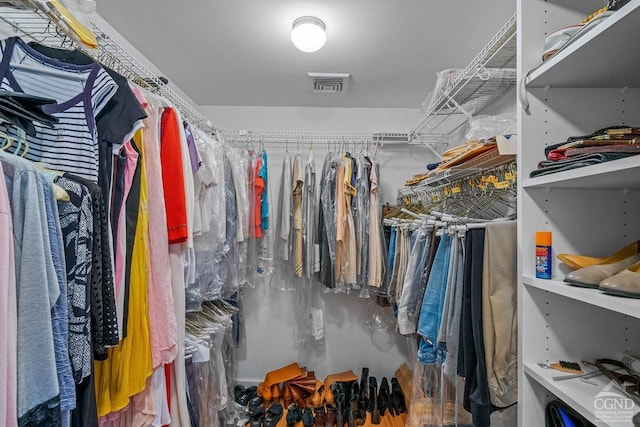 view of spacious closet