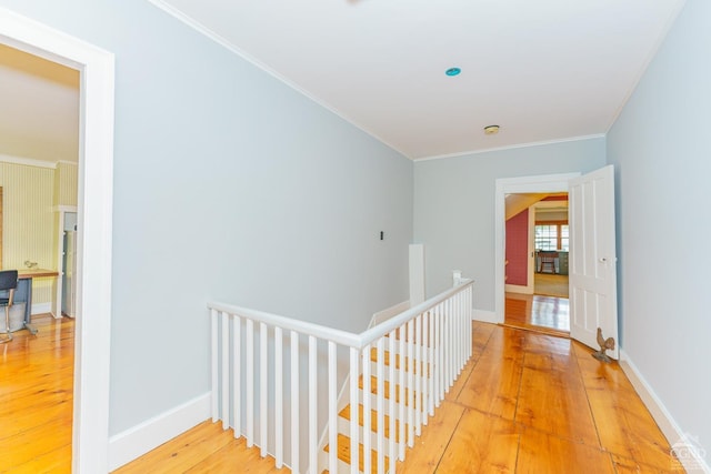 corridor featuring crown molding and hardwood / wood-style flooring