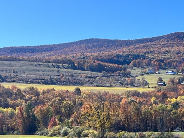 view of mountain feature