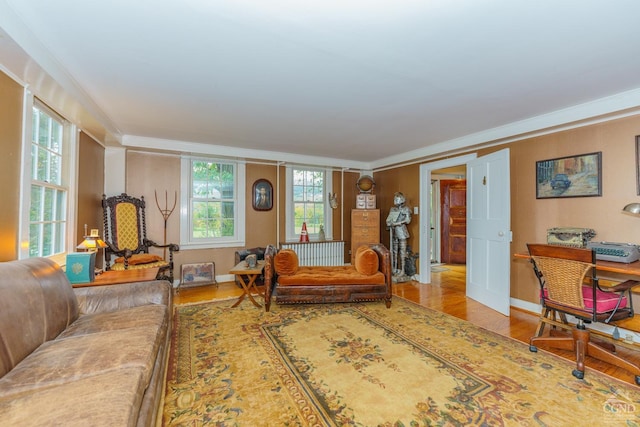 living room with wood-type flooring and crown molding