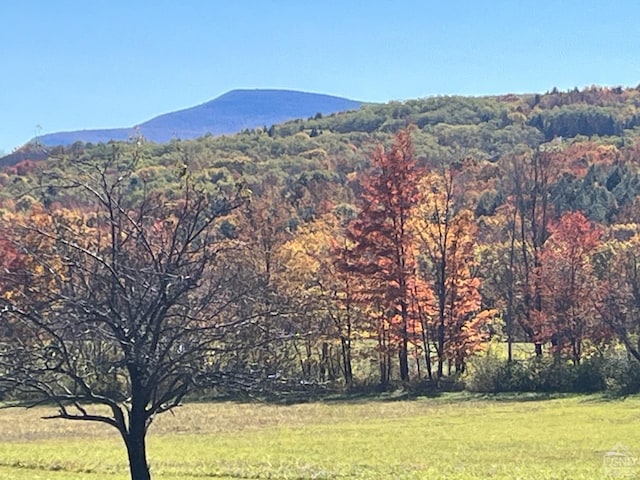 view of mountain feature