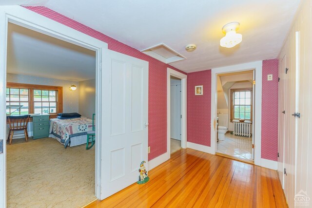 hallway with plenty of natural light, radiator heating unit, and light hardwood / wood-style flooring