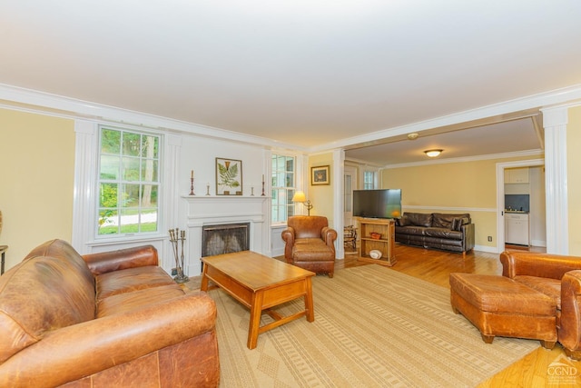 living room featuring crown molding and light hardwood / wood-style floors