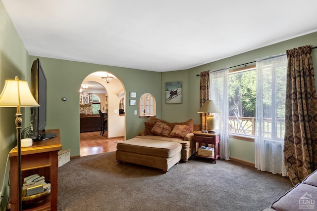 living area featuring carpet floors