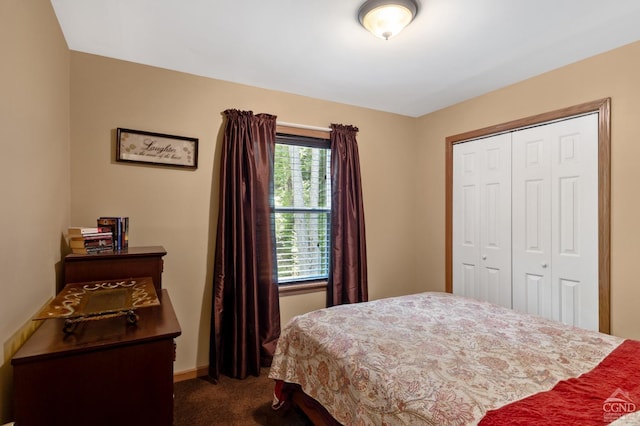 carpeted bedroom featuring a closet