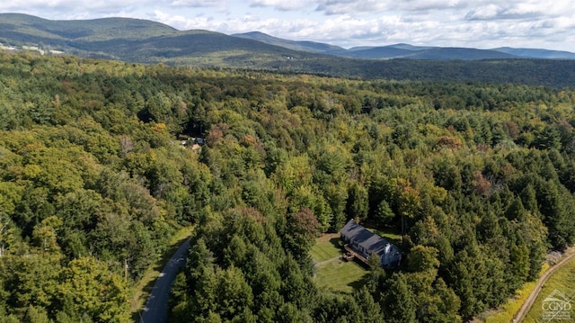 bird's eye view featuring a mountain view