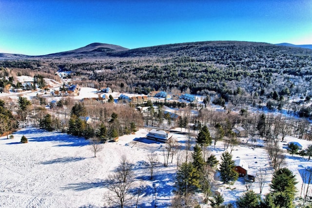 view of mountain feature