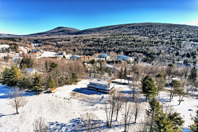 snowy aerial view with a mountain view