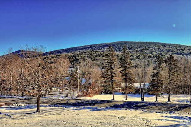 property view of mountains