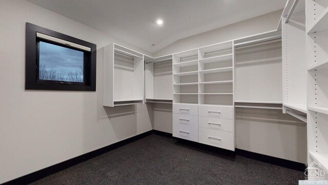 walk in closet featuring vaulted ceiling