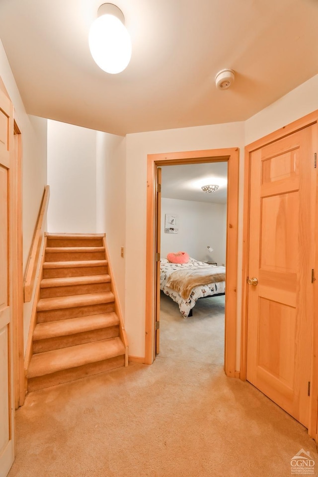 hall featuring light colored carpet