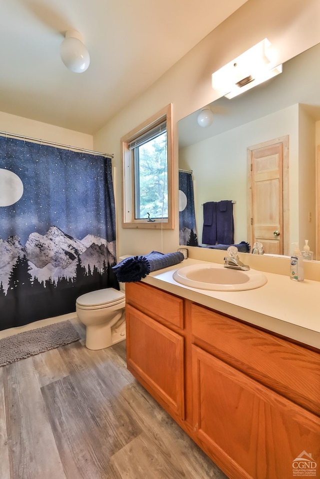 bathroom with vanity, toilet, and wood-type flooring