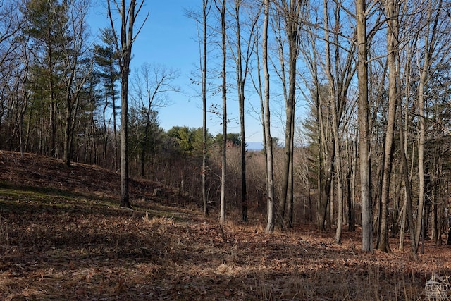 0 Bates Rd, Claverack NY, 12513 land for sale