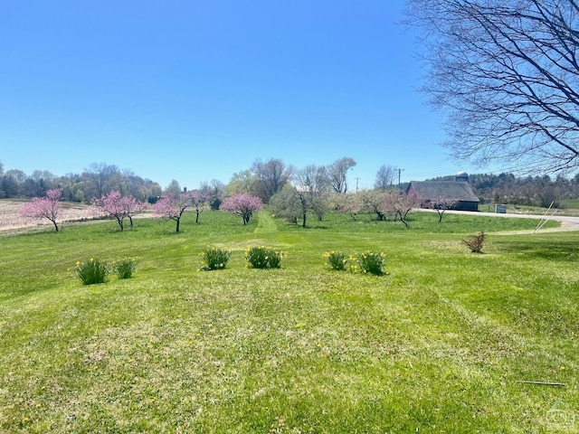 view of yard with a rural view