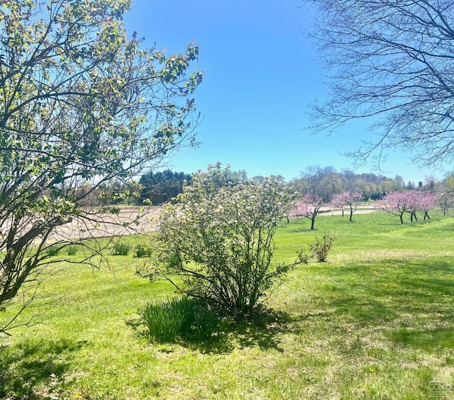 view of yard with a rural view