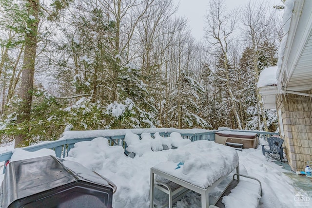 yard covered in snow with a hot tub