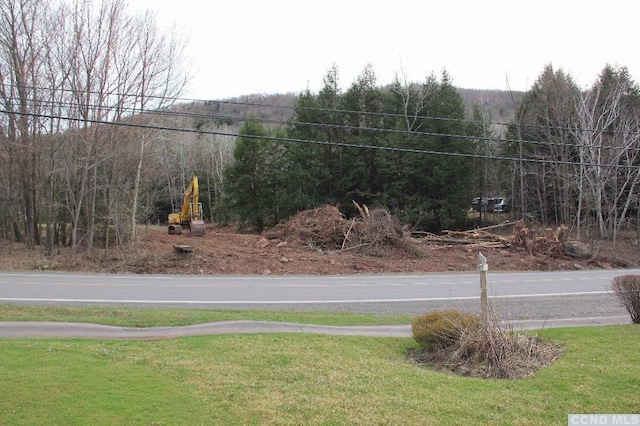 57 S St, Windham NY, 12496 land for sale