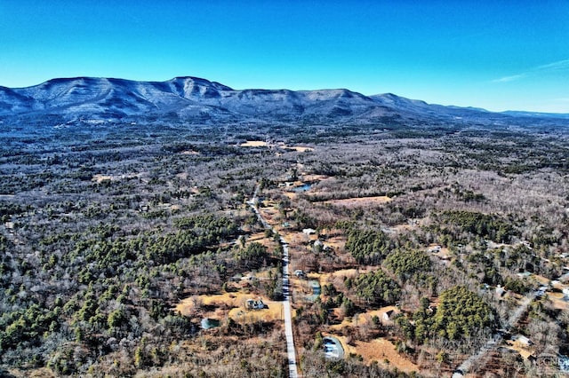 view of mountain feature