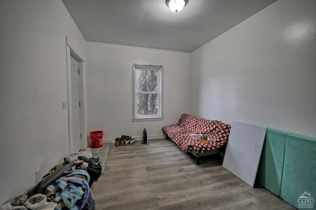 living area featuring light hardwood / wood-style flooring