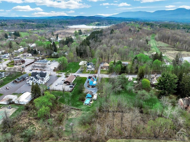 aerial view featuring a mountain view and a view of trees