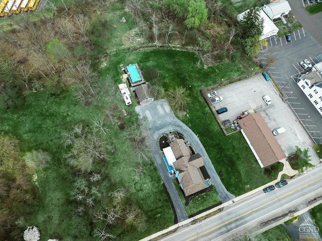 bird's eye view