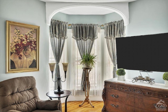living area featuring light wood-style flooring
