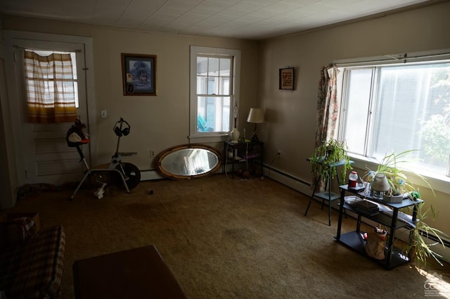 miscellaneous room with plenty of natural light and carpet floors