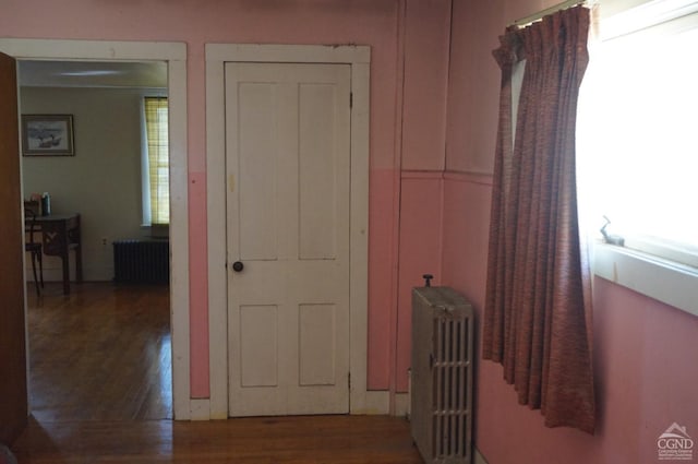 hall featuring radiator and dark wood-type flooring