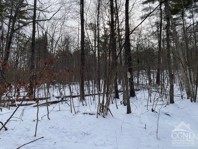 0 Bross St, Cairo NY, 12413 land for sale