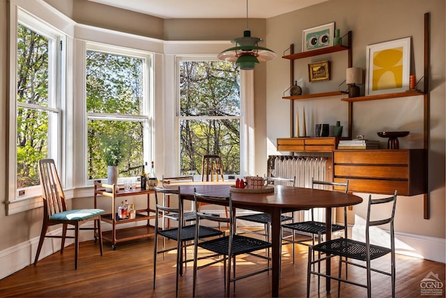 496 Clinton St, Hudson, NY 12534 - dining area with ceiling fan, plenty of natural light, and wood finished floors
