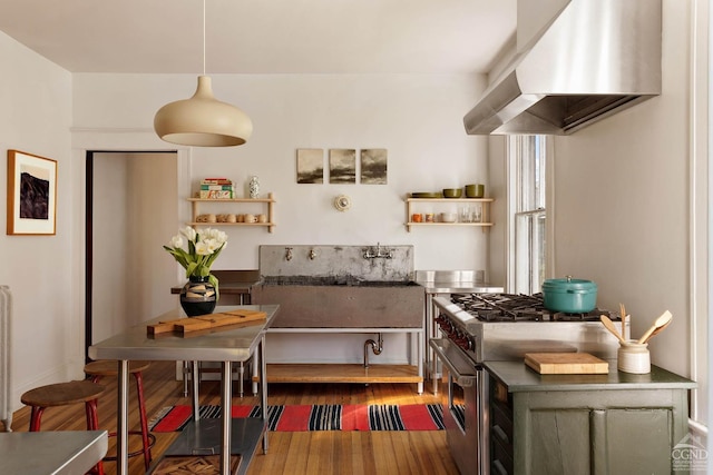496 Clinton St, Hudson, NY 12534 - kitchen with stainless steel range, extractor fan, wood finished floors, and open shelves
