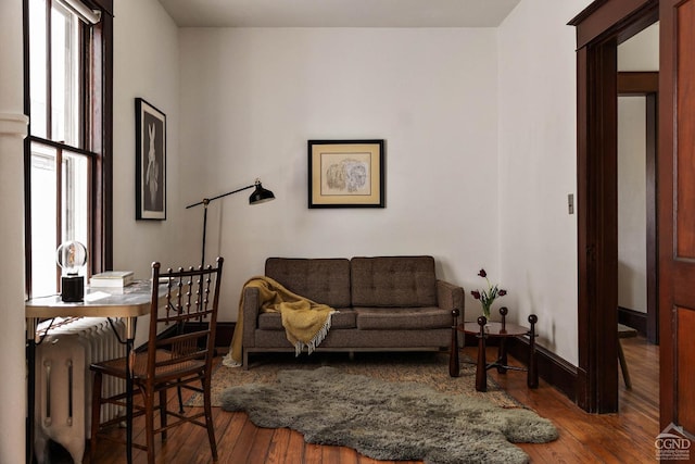 496 Clinton St, Hudson, NY 12534 - living room featuring baseboards and hardwood / wood-style flooring
