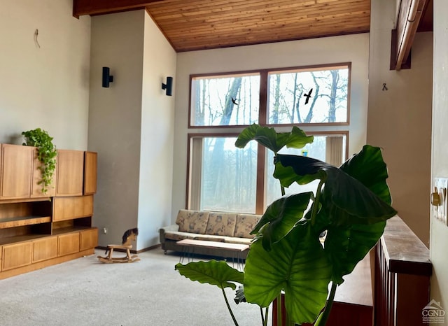 carpeted living room with wood ceiling