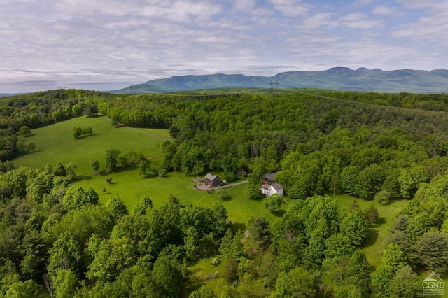 drone / aerial view featuring a mountain view and a view of trees