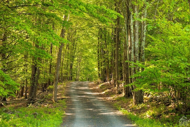 view of road with a wooded view