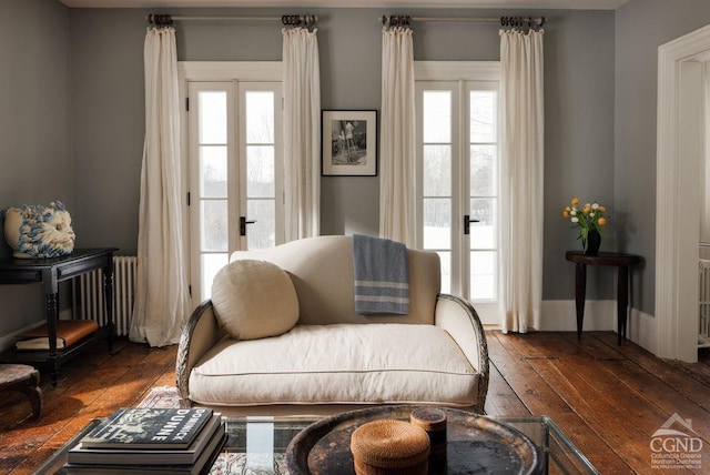 living area featuring dark wood-style floors, french doors, and a wealth of natural light