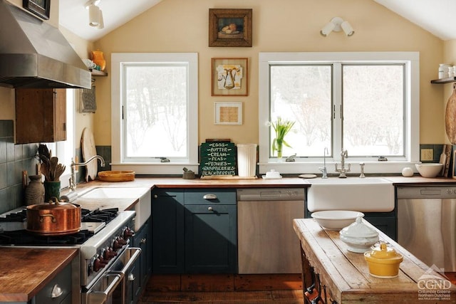 kitchen featuring a sink, vaulted ceiling, stainless steel appliances, and ventilation hood