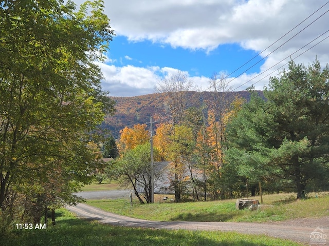 Listing photo 2 for 0 Circle Rd, Windham NY 12496